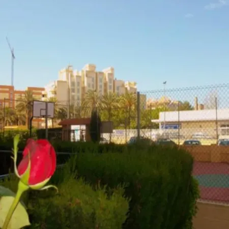 Amplio Apartment Puebla de Farnals