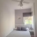 Amplio